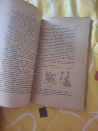 Elementos de historia natural