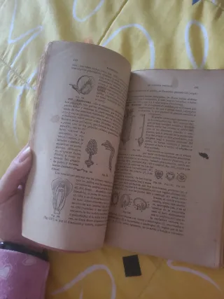 Elementos de historia natural