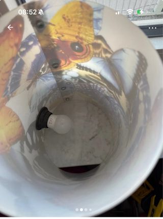 Lampada con farfalle