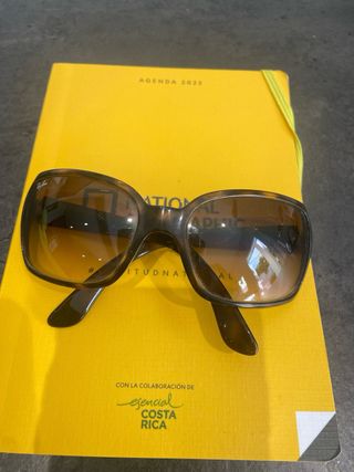 Gafas Ray Ban RB4068 Marrones