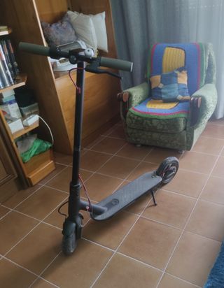 Patinete Eléctrico Xiaomi Mi Scooter 365