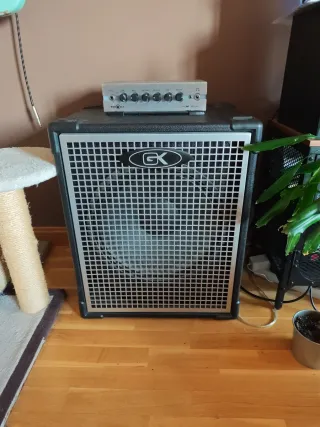 Pantalla Bajo Gallien Krueger