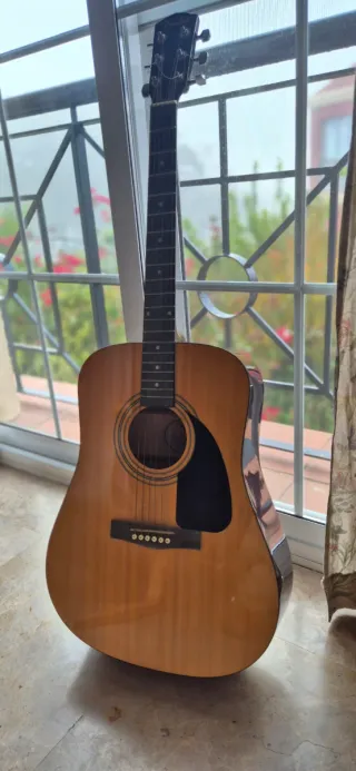 Guitarra Acústica Fender FA-115PK