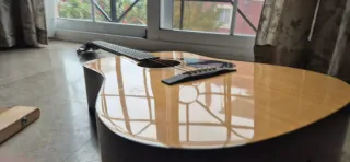 Guitarra Acústica Fender FA-115PK