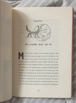 Alex y Gandhi en la India