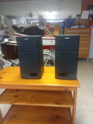 Altavoces Sony Negros (Juego)