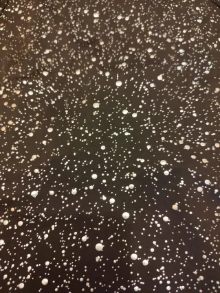 Top Negro con Cuello Smoking y Estampado Plateado