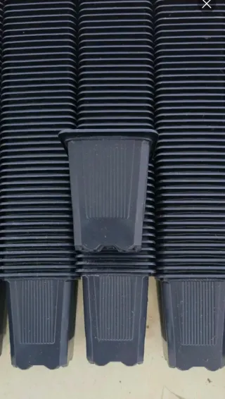 Macetas semilleros (250)  0,38L (7x7x8)