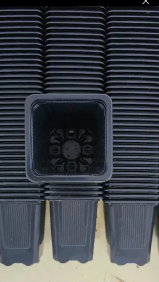 Macetas semilleros (250)  0,38L (7x7x8)