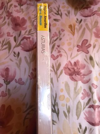 Páginas amarillas Asturias 21x15 cm. 2014/2015