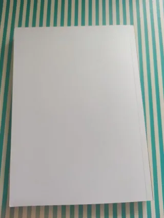 Objetivo: liquidar los anarquistas de Puigcerdà