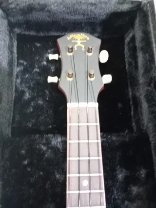 Banjo Ukelele (banjolele) con funda