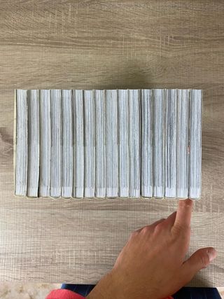 The Ancient Magus Bride