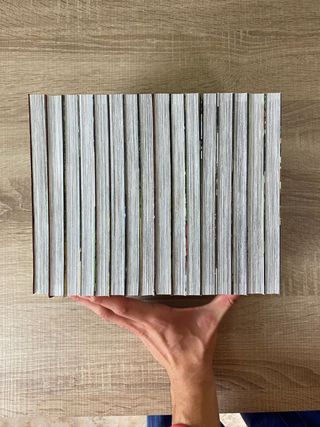 The Ancient Magus Bride