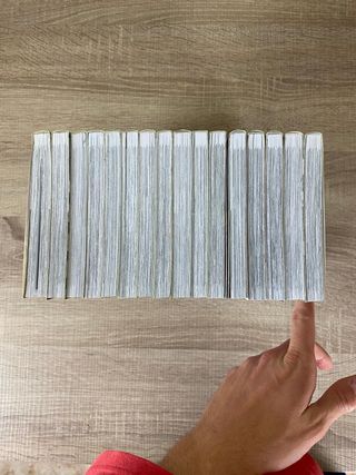 The Ancient Magus Bride