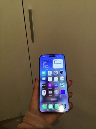 iPhone 16 Pro Max Gold/Pink