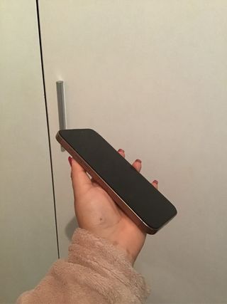 iPhone 16 Pro Max Gold/Pink