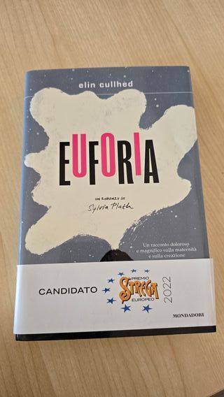 Euforia. Un romanzo su Sylvia Plath