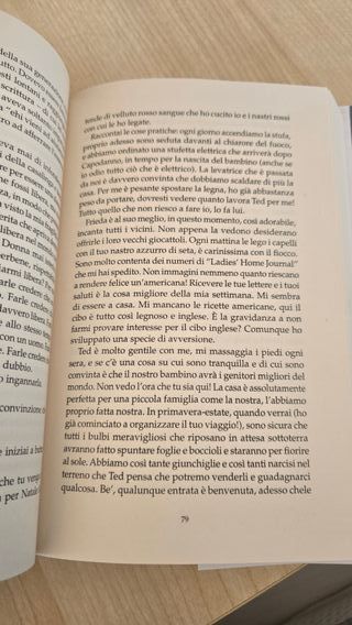 Euforia. Un romanzo su Sylvia Plath