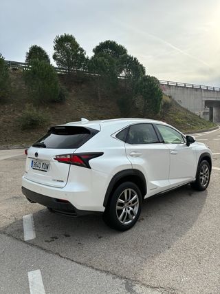 Lexus NX 2017