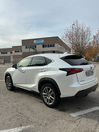 Lexus NX 2017