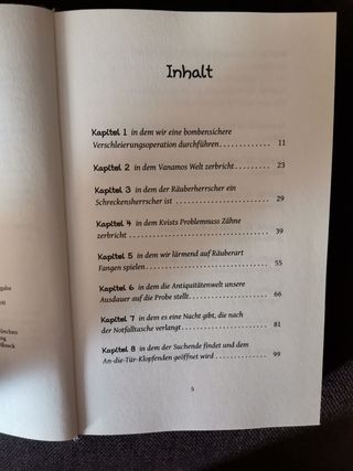 Vilja und der Räuberschatz Roman