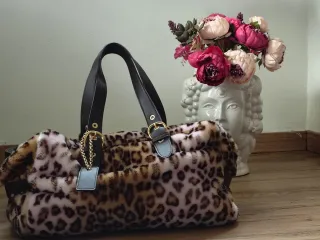 Borsa Airoldi maculata