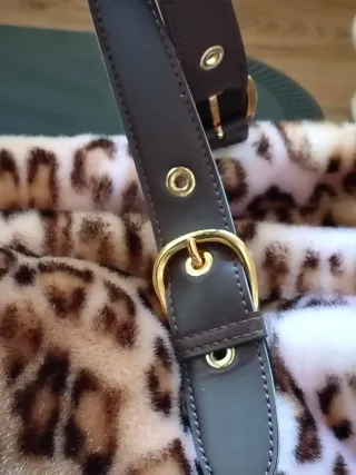 Borsa Airoldi maculata