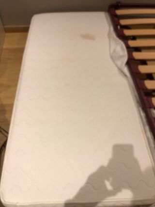 Cama nido FLEX con 2 somieres y colchones