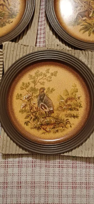 Lotto di 5 Piatti in Ceramica Pfalzkeramik Vintage