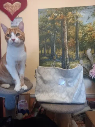 Bolso plateado con estampado de serpiente