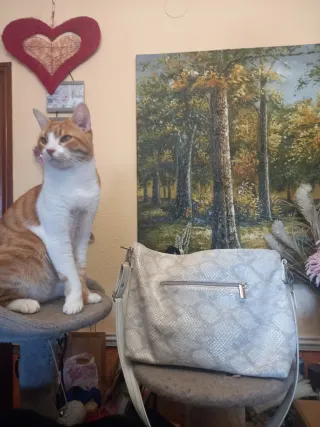 Bolso plateado con estampado de serpiente