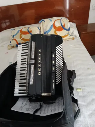 Fisarmonica 120 Bassi con Custodia