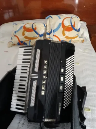 Fisarmonica 120 Bassi con Custodia