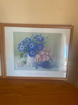 2 Cuadros Florales Marco Pino