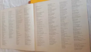 Paul McCartney - Flowers in the Dirt Vinile