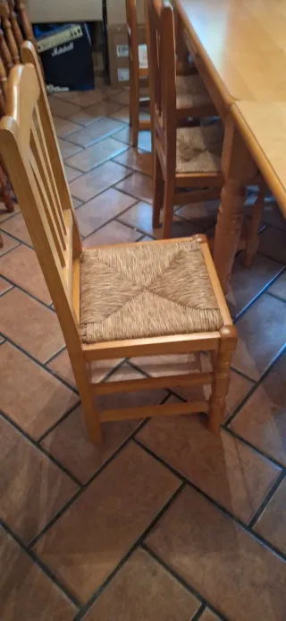 Mesa extensible 6-10 plazas + 9 sillas