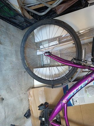 Bicicleta paseo adulto