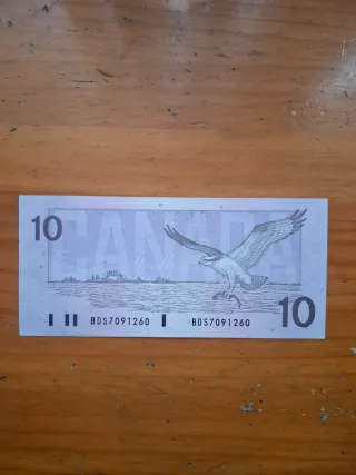 10 Dollari Canadesi 1989
