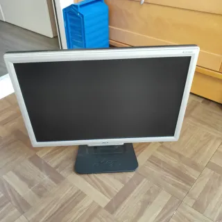 Pantalla Acer AL1916W Plata
