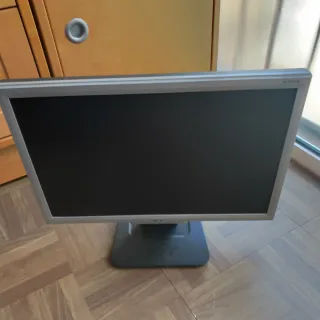 Pantalla Acer AL1916W Plata