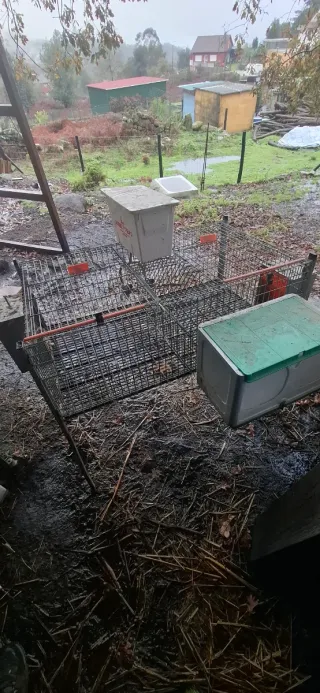 Jaulas para conejos