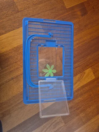 Terrario/Acuario para anfibios nuevo