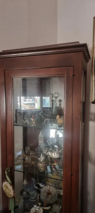 Vetrina in legno e vetro