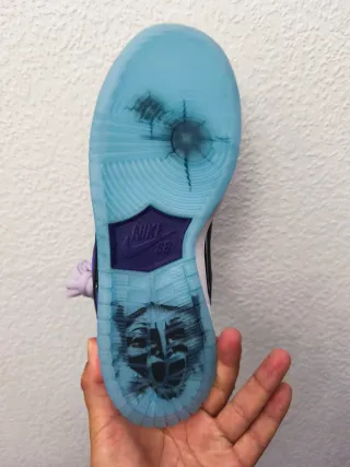 Nike Dunk Low SB Hayley Wilson