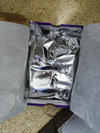 Nike Dunk Low SB Hayley Wilson