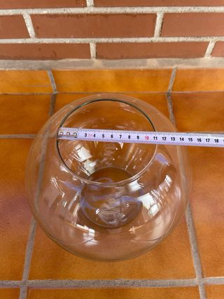 Pecera de cristal redonda