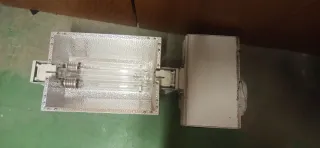 Lámparas de cultivo para interior