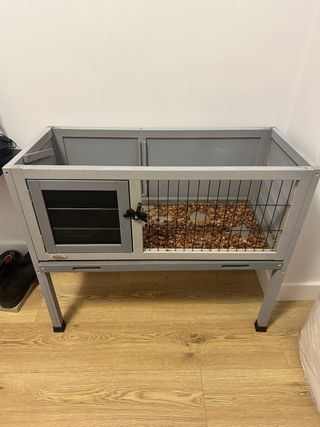 Terrario para tortuga o reptil