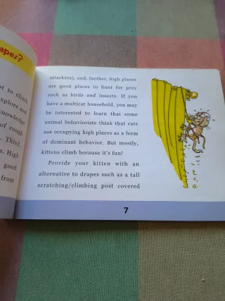 Kittens. Why they do what they d